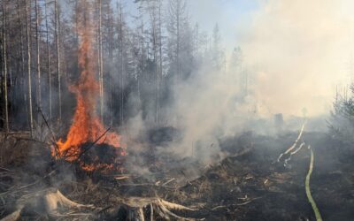 požár lesní porost čachotín 23.3.2022