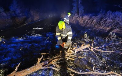 Technická pomoc odstranění stromu Česká Bělá – Vlachov 17.12.2025